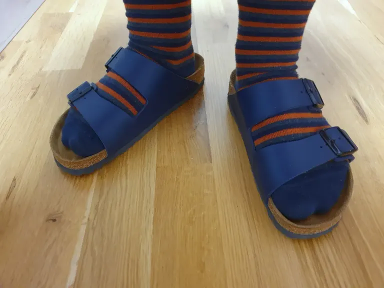A pair of blue Birkenstock Arizona sandals