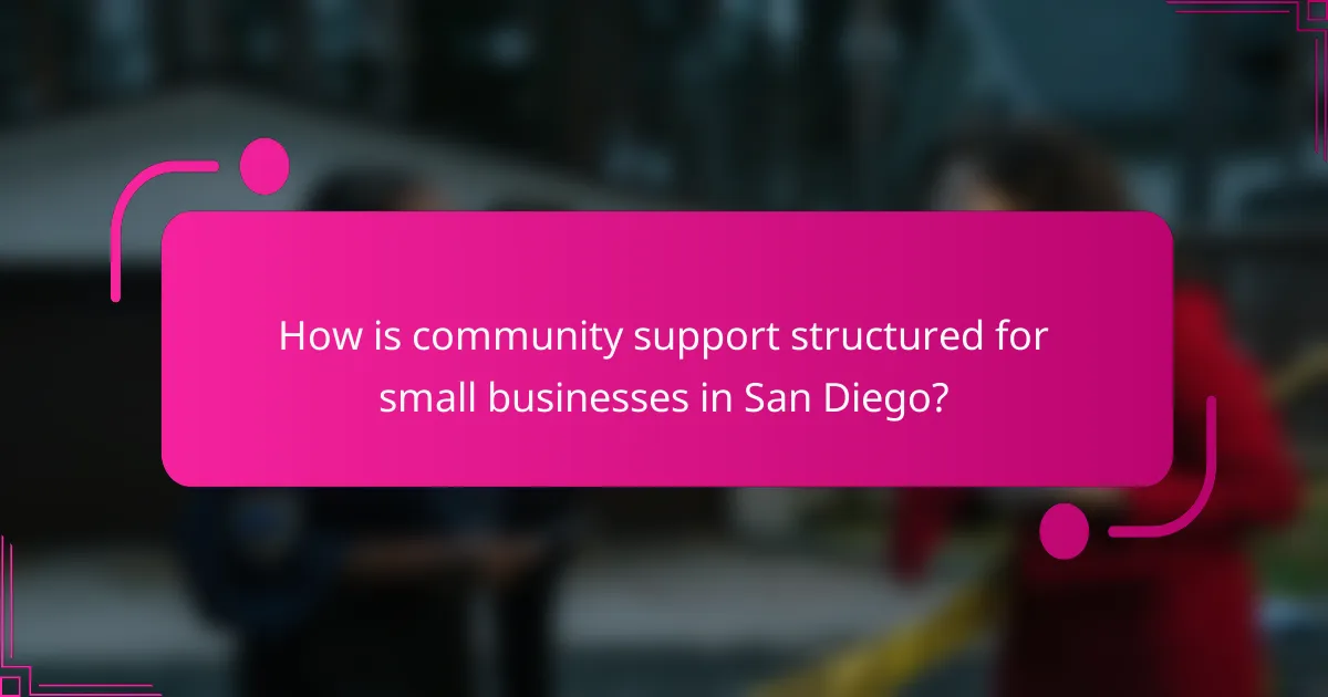How is community support structured for small businesses in San Diego?