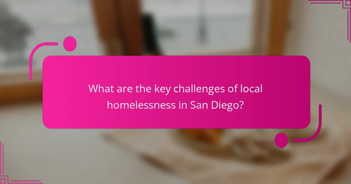 What are the key challenges of local homelessness in San Diego?