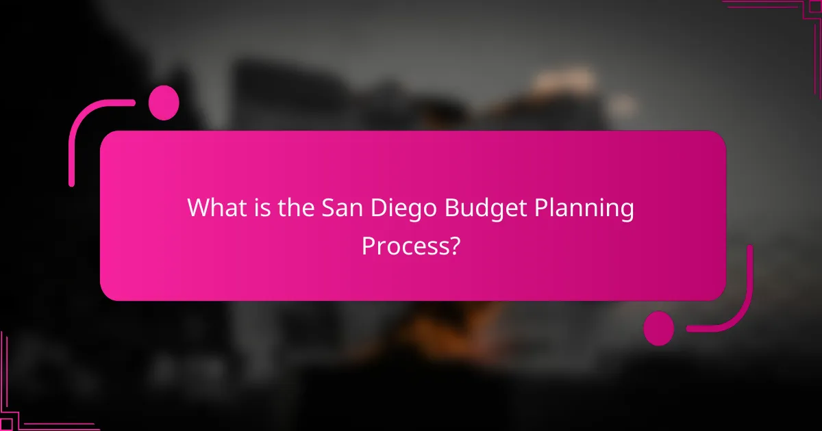 What is the San Diego Budget Planning Process?